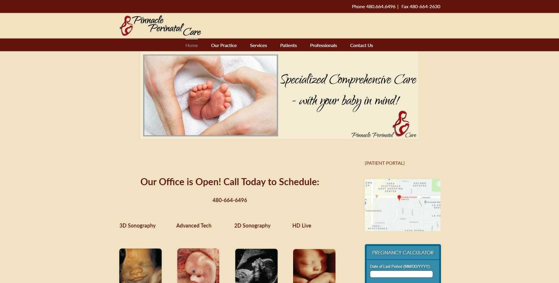 Pinnacle Perinatal website